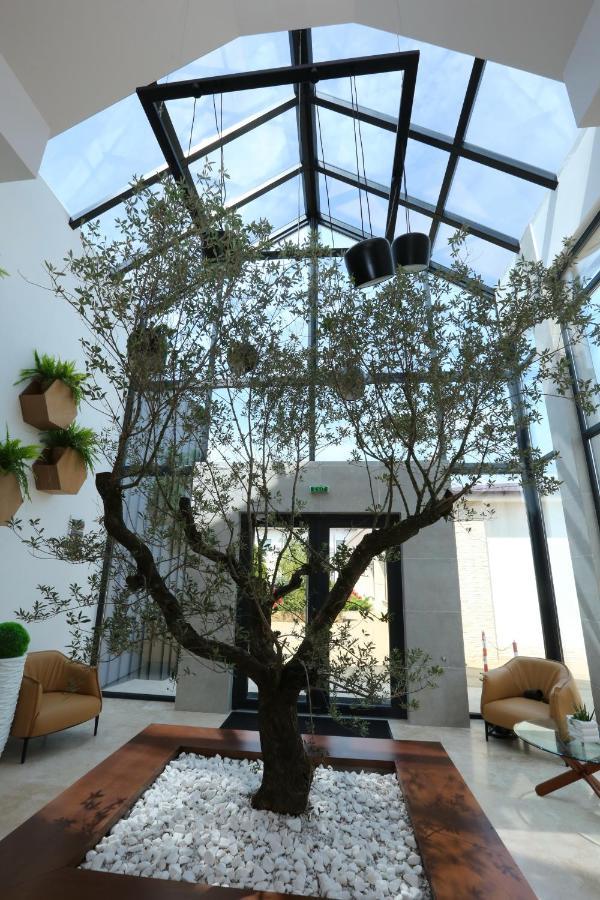 Valentino Rooms Focsani Ngoại thất bức ảnh